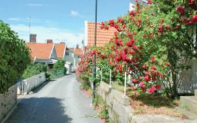 Apartment Bansviksgatan Lysekil